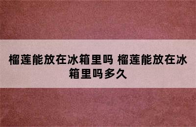 榴莲能放在冰箱里吗 榴莲能放在冰箱里吗多久